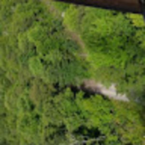 Meet your Posher, Bill